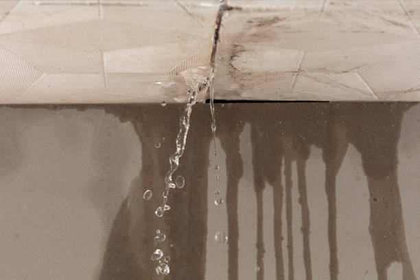 Professional Burst Pipe Cleanup technician working in Elmhurst, IL